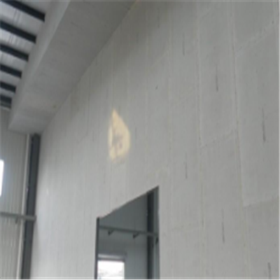 马山宁波ALC板|EPS加气板隔墙与混凝土整浇联接的实验研讨